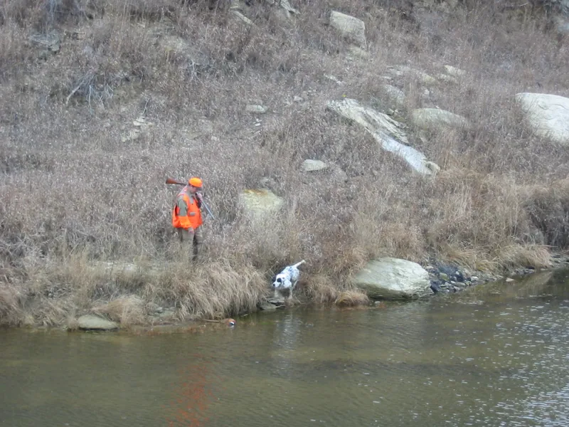 Hunting party TB from Nebraska – 2004 wild pheasant hunt in North Dakota