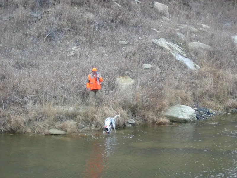 Hunting party TB from Nebraska – 2004 wild pheasant hunt in North Dakota