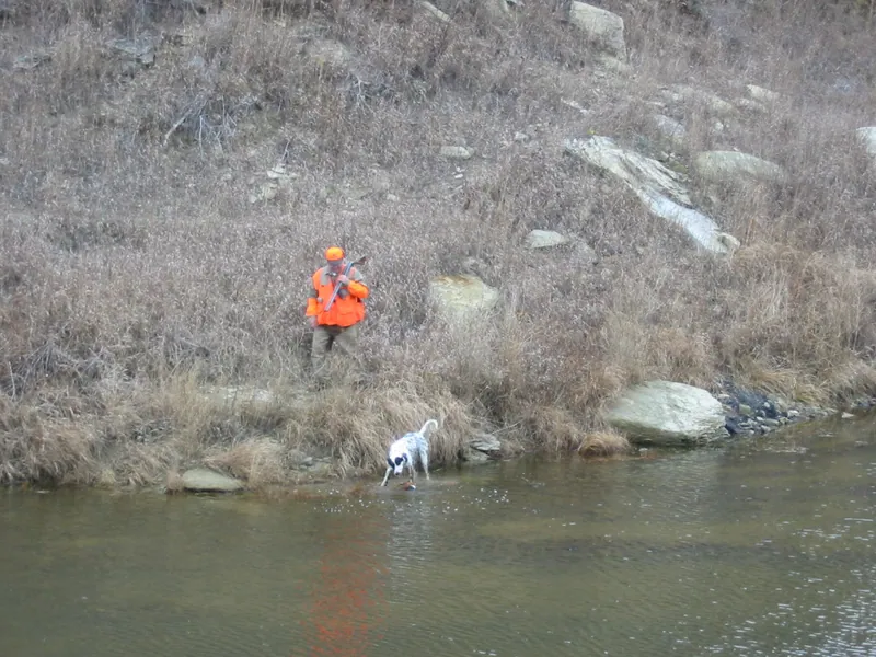 Hunting party TB from Nebraska – 2004 wild pheasant hunt in North Dakota