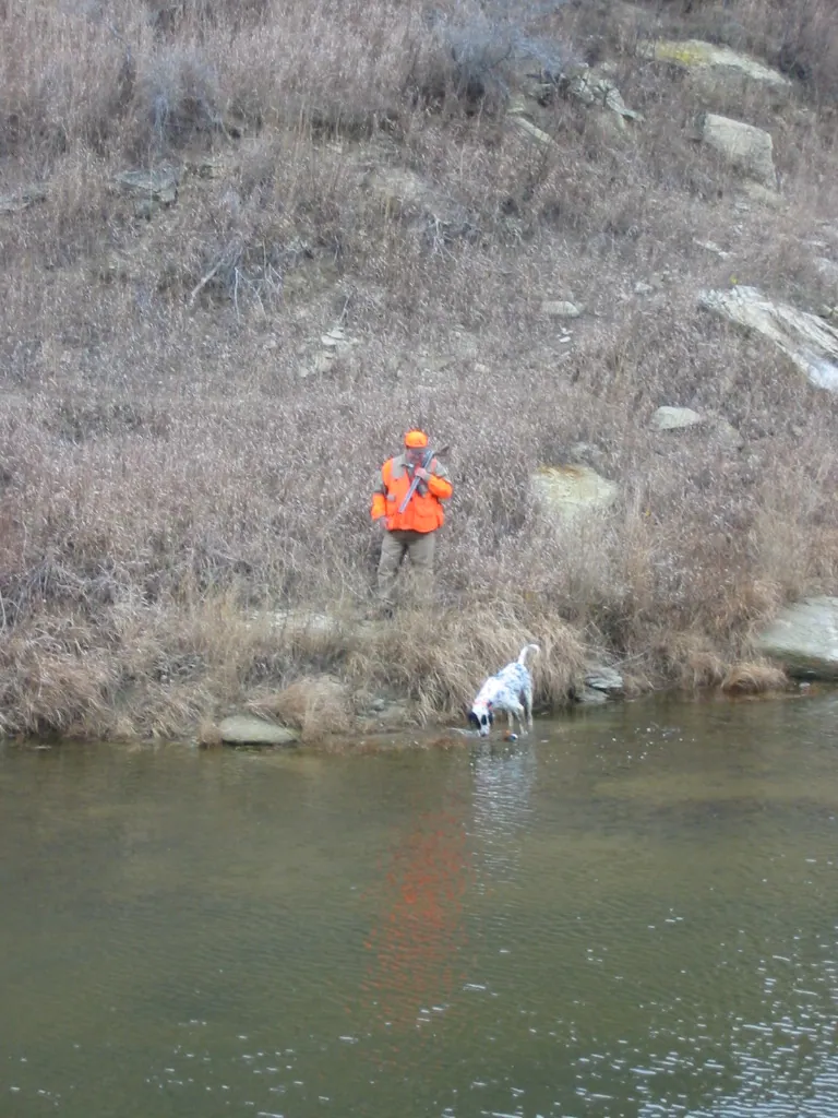 Hunting party TB from Nebraska – 2004 wild pheasant hunt in North Dakota