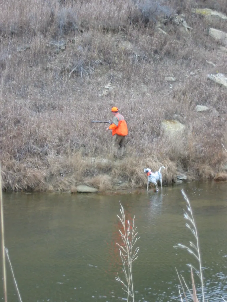 Hunting party TB from Nebraska – 2004 wild pheasant hunt in North Dakota