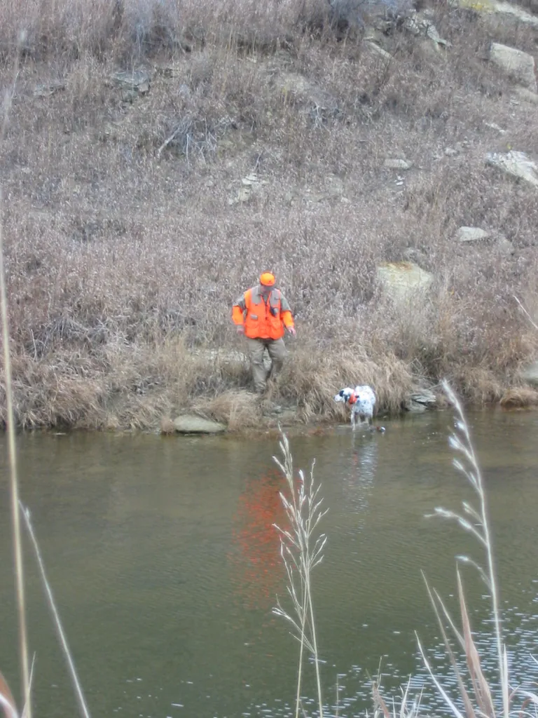 Hunting party TB from Nebraska – 2004 wild pheasant hunt in North Dakota