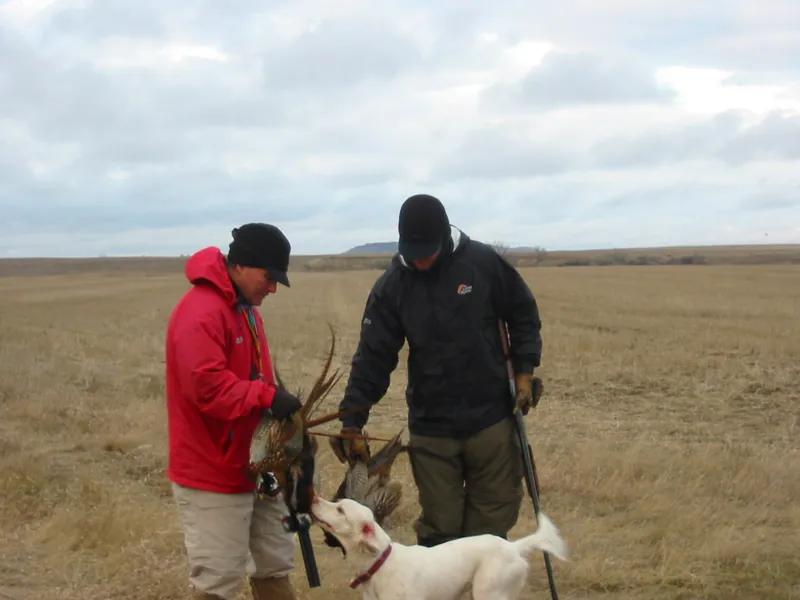 Hunting party DG from California – 2004 wild pheasant hunt in North Dakota