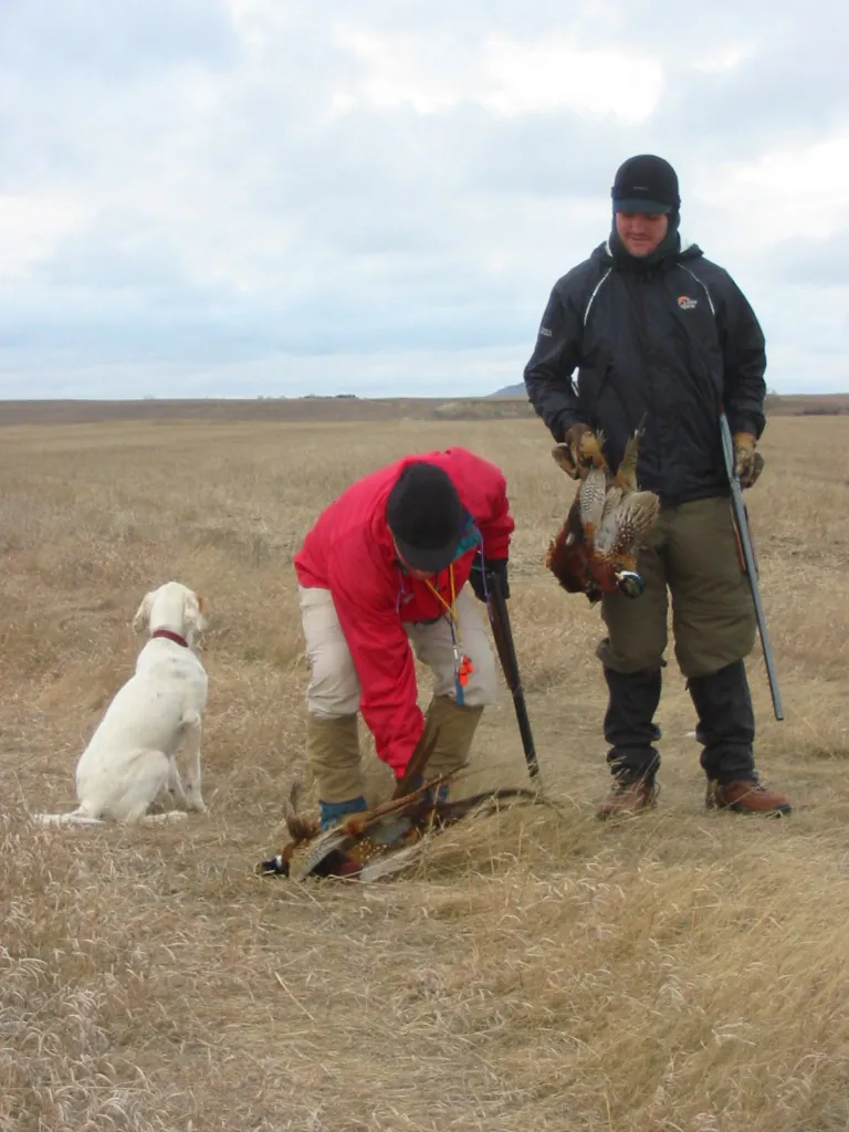 Hunting party DG from California – 2004 wild pheasant hunt in North Dakota
