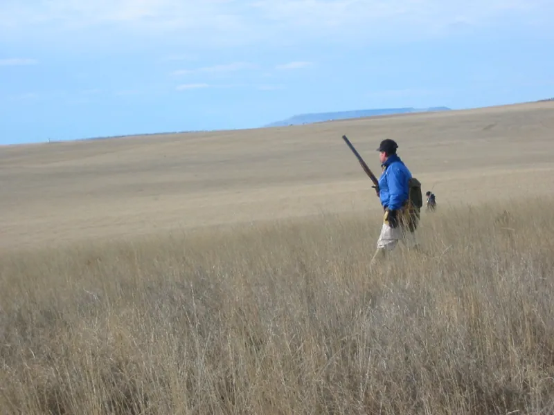 Hunting party DG from California – 2004 wild pheasant hunt in North Dakota