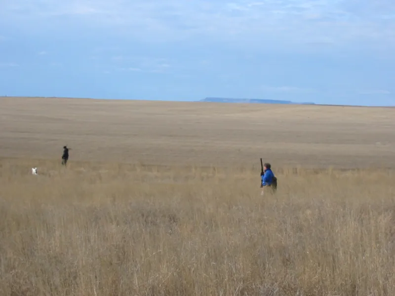 Hunting party DG from California – 2004 wild pheasant hunt in North Dakota