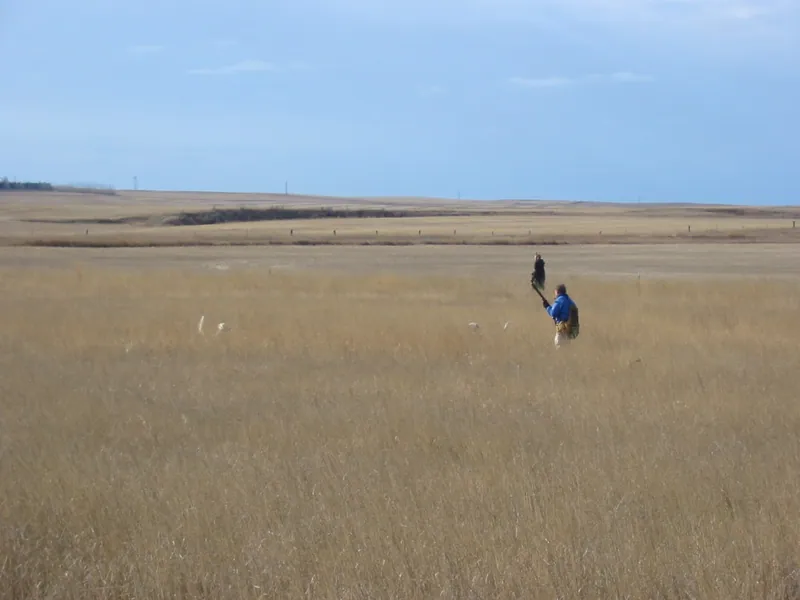 Hunting party DG from California – 2004 wild pheasant hunt in North Dakota