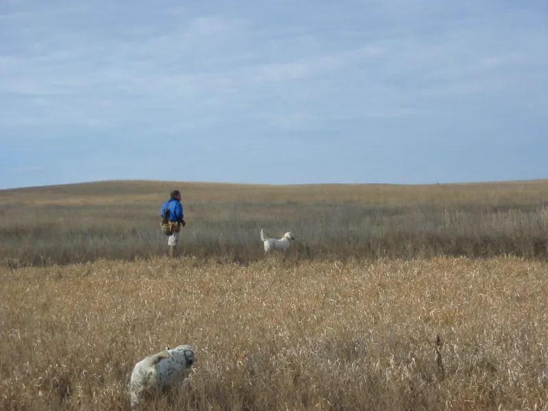 Hunting party DG from California – 2004 wild pheasant hunt in North Dakota