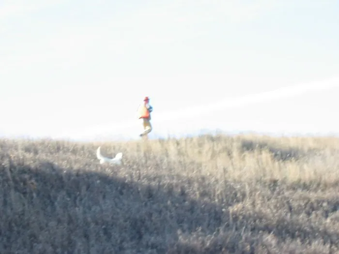 Hunting party RS from Ohio – 2004 wild pheasant hunt in North Dakota