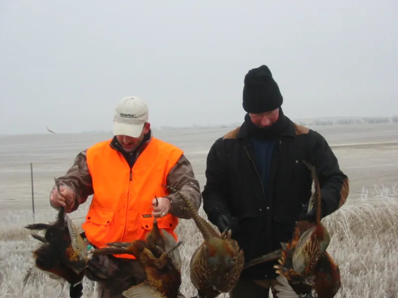 Hunting party SW from Idaho – 2004 wild pheasant hunt in North Dakota