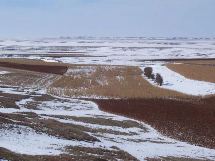 Hunting party BA from Nevada – 2005 wild pheasant hunt in North Dakota