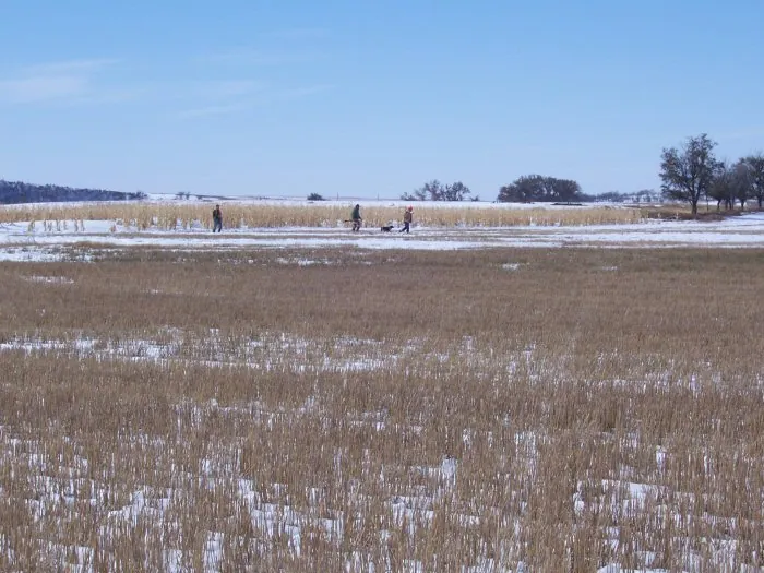 Hunting party BA from Nevada – 2005 wild pheasant hunt in North Dakota