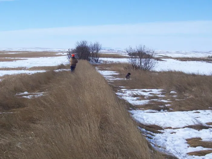 Hunting party BA from Nevada – 2005 wild pheasant hunt in North Dakota