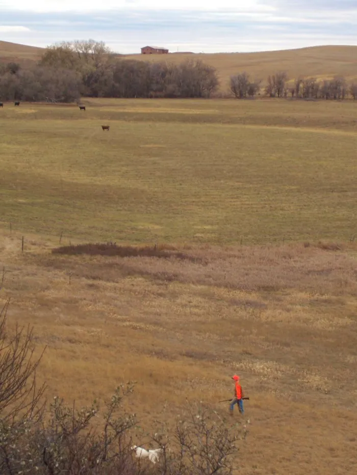 Hunting party A from California – 2005 wild pheasant hunt in North Dakota
