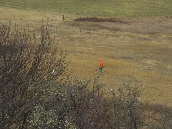 Hunting party A from California – 2005 wild pheasant hunt in North Dakota