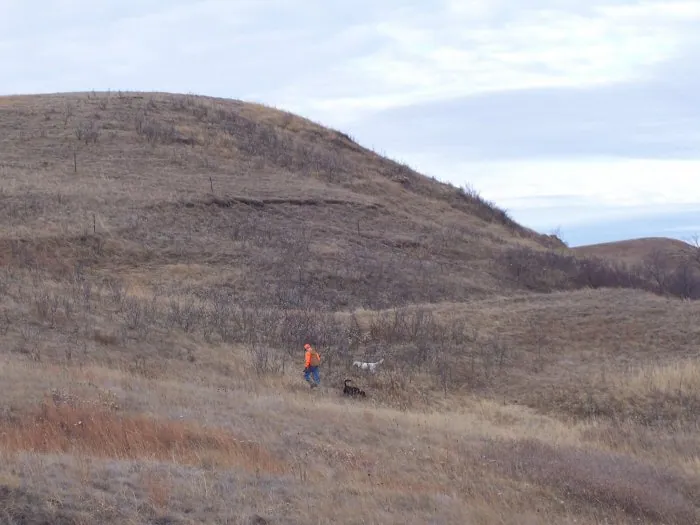 Hunting party A from California – 2005 wild pheasant hunt in North Dakota