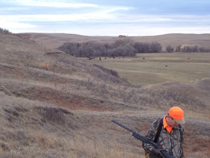 Hunting party A from California – 2005 wild pheasant hunt in North Dakota