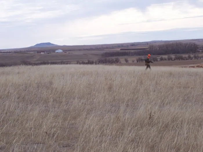 Hunting party A from California – 2005 wild pheasant hunt in North Dakota