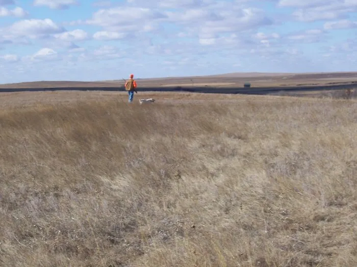 Hunting party A from California – 2005 wild pheasant hunt in North Dakota