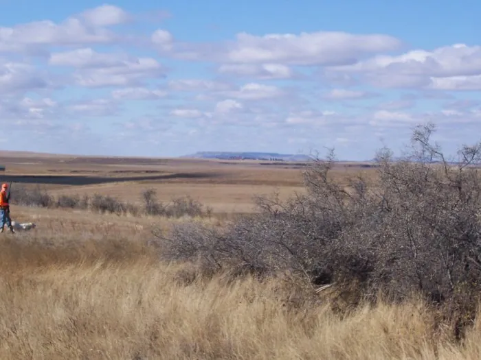 Hunting party A from California – 2005 wild pheasant hunt in North Dakota