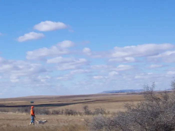Hunting party A from California – 2005 wild pheasant hunt in North Dakota