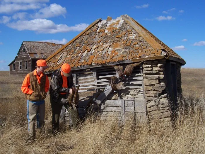 Hunting party A from California – 2005 wild pheasant hunt in North Dakota