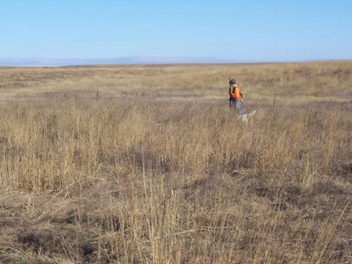 Hunting party A from California – 2005 wild pheasant hunt in North Dakota
