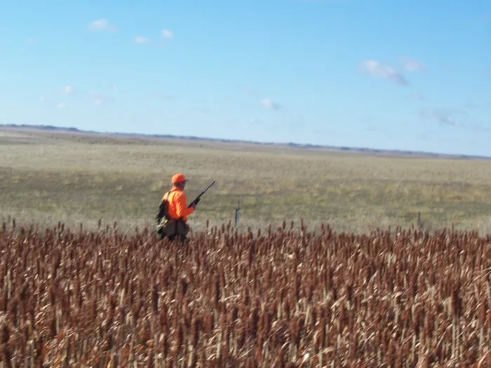 Hunting party A from California – 2005 wild pheasant hunt in North Dakota
