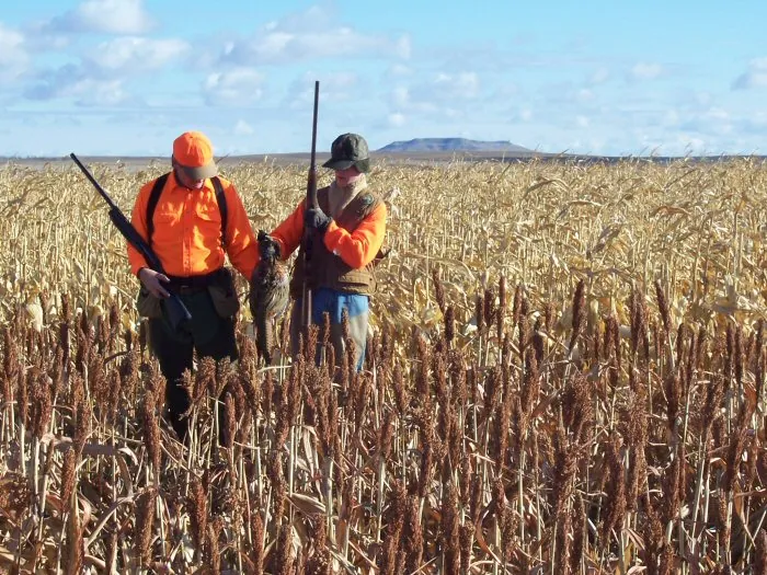 Hunting party A from California – 2005 wild pheasant hunt in North Dakota