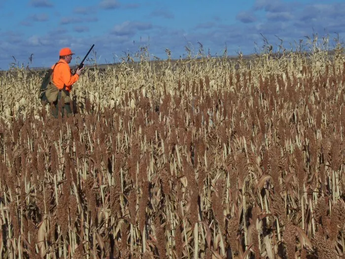 Hunting party A from California – 2005 wild pheasant hunt in North Dakota