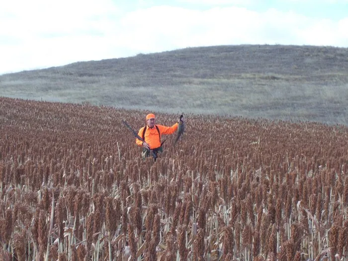 Hunting party A from California – 2005 wild pheasant hunt in North Dakota