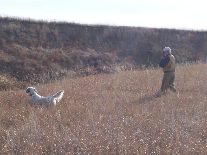 Hunting party CF – 2005 wild pheasant hunt in North Dakota
