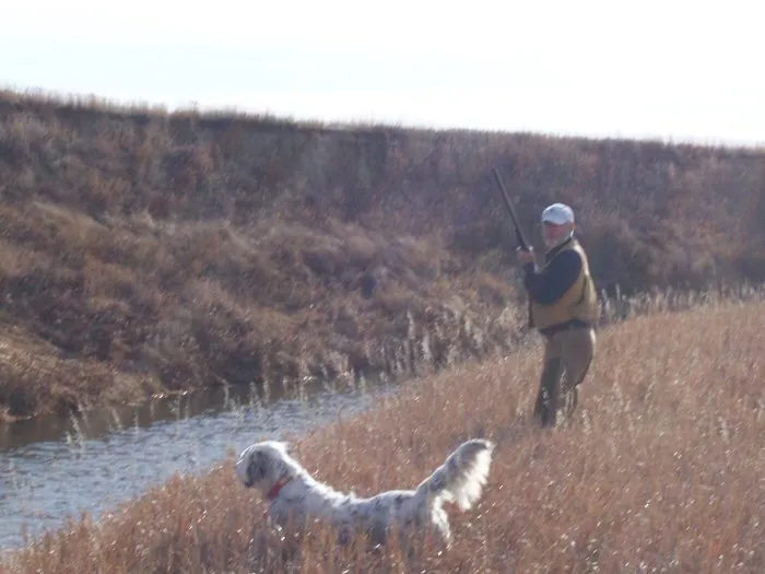 Hunting party CF – 2005 wild pheasant hunt in North Dakota