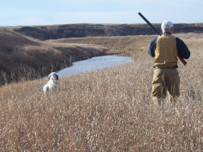 Hunting party CF – 2005 wild pheasant hunt in North Dakota