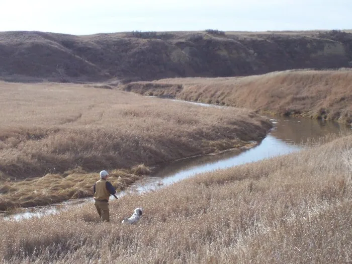 Hunting party CF – 2005 wild pheasant hunt in North Dakota