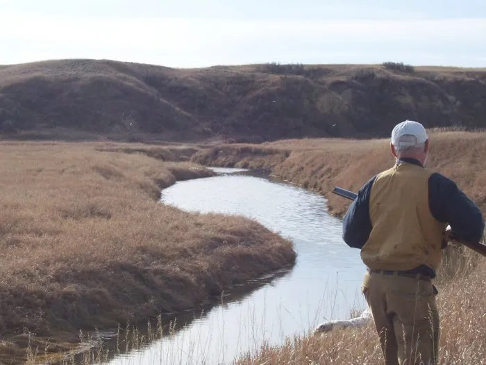 Hunting party CF – 2005 wild pheasant hunt in North Dakota