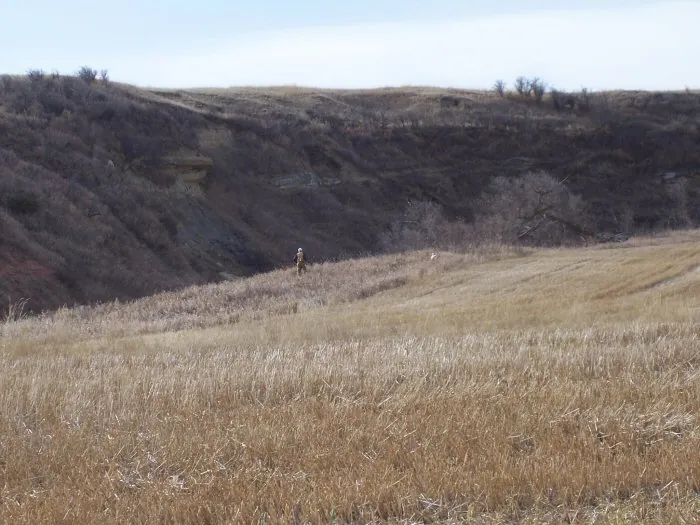 Hunting party CF – 2005 wild pheasant hunt in North Dakota