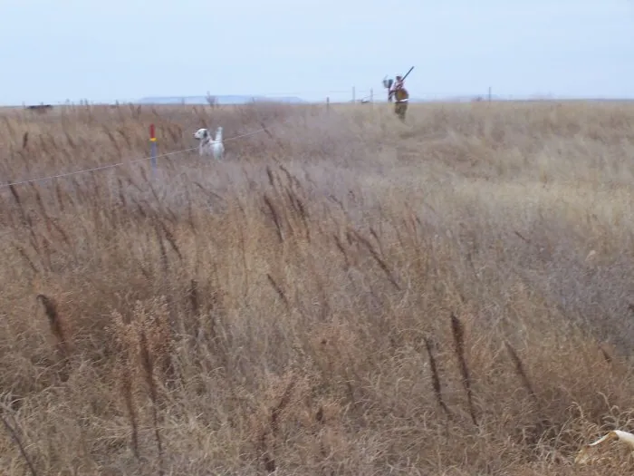 Hunting party CF – 2005 wild pheasant hunt in North Dakota