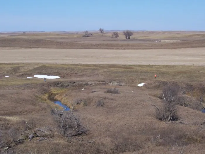 Hunting party G from Wisconsin – 2005 wild pheasant hunt in North Dakota
