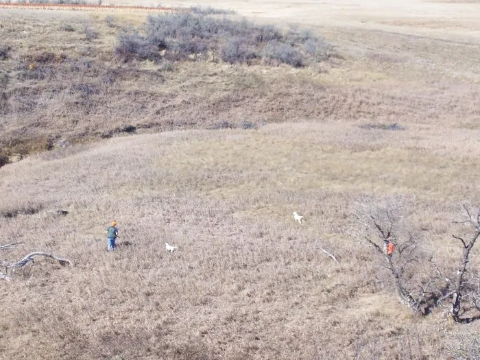 Hunting party G from Wisconsin – 2005 wild pheasant hunt in North Dakota