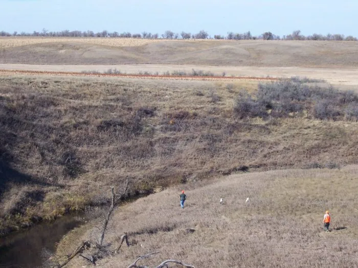Hunting party G from Wisconsin – 2005 wild pheasant hunt in North Dakota