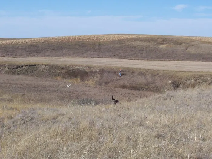 Hunting party G from Wisconsin – 2005 wild pheasant hunt in North Dakota
