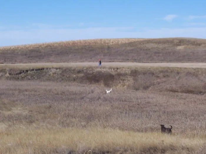 Hunting party G from Wisconsin – 2005 wild pheasant hunt in North Dakota