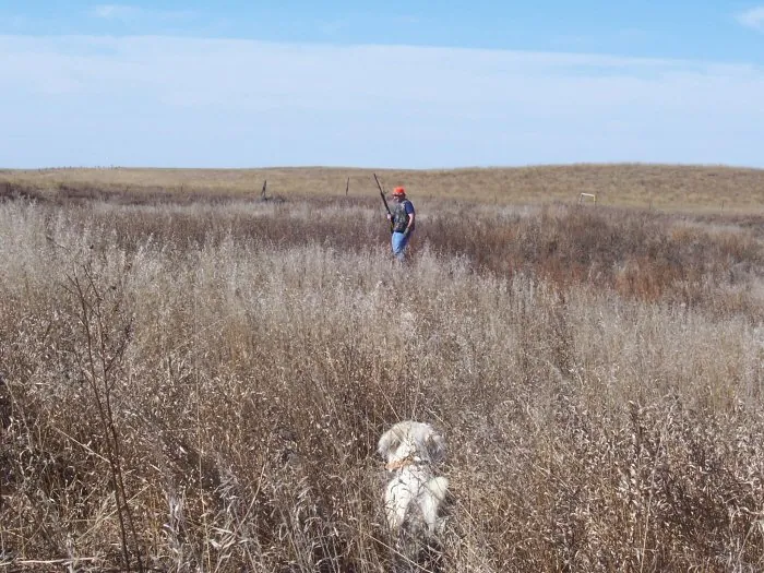 Hunting party G from Wisconsin – 2005 wild pheasant hunt in North Dakota