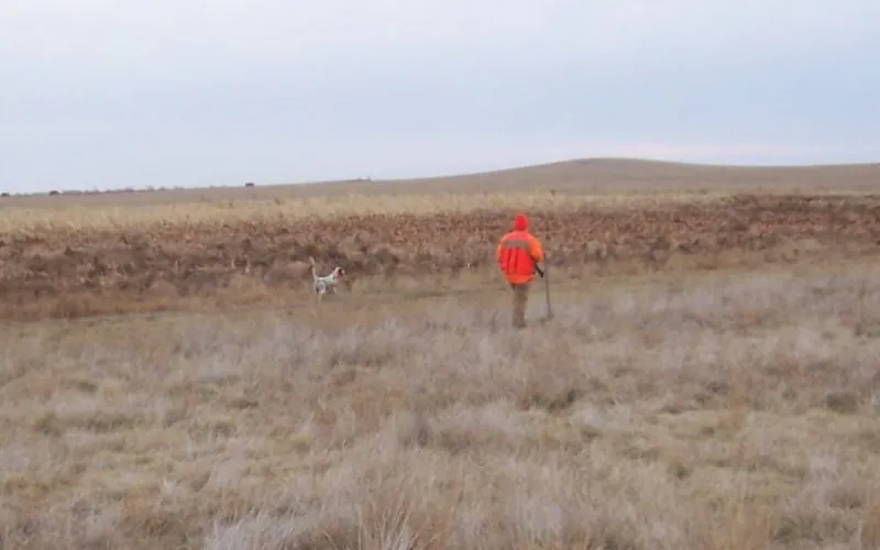 Hunting party BM from Minnesota – 2006 wild pheasant hunt in North Dakota