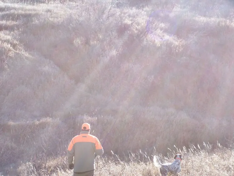 Hunting party BM from Minnesota – 2006 wild pheasant hunt in North Dakota