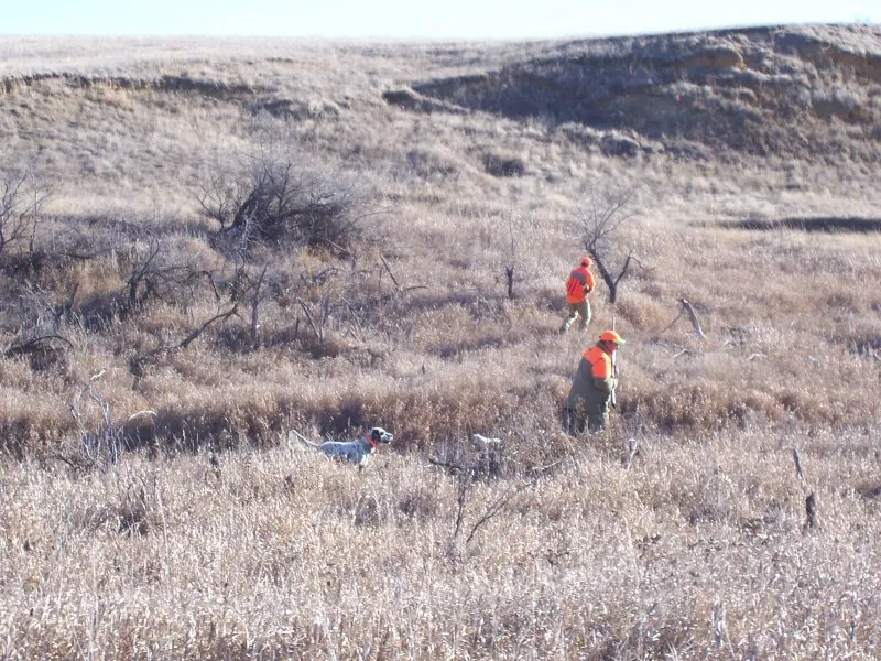 Hunting party BM from Minnesota – 2006 wild pheasant hunt in North Dakota