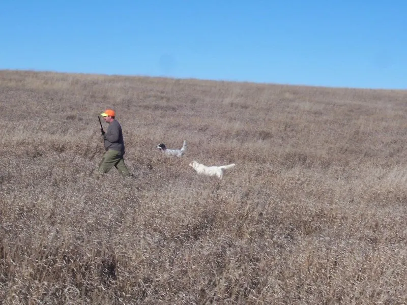 Hunting party BM from Minnesota – 2006 wild pheasant hunt in North Dakota