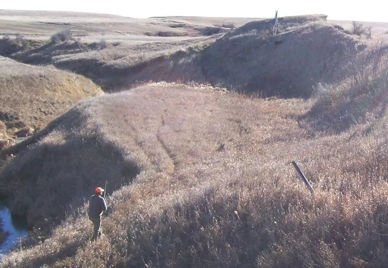 Hunting party BM from Minnesota – 2006 wild pheasant hunt in North Dakota
