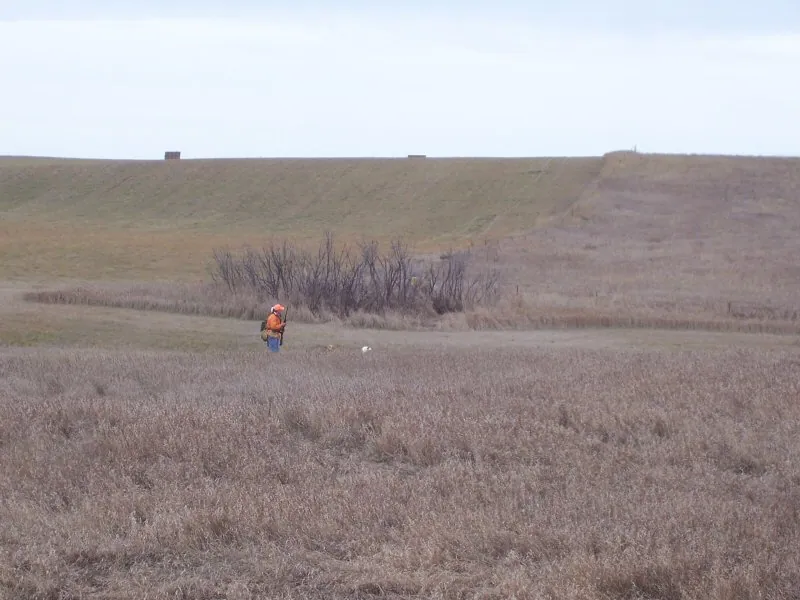 Hunting party DG from California – 2007 wild pheasant hunt in North Dakota